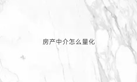 房产中介怎么量化(房产中介怎么量化收入)