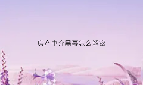 房产中介黑幕怎么解密