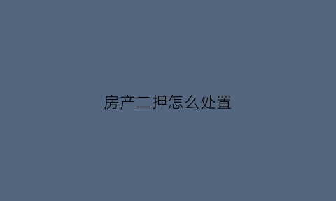 房产二押怎么处置(房产二押犯法吗)