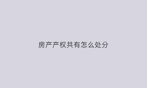 房产产权共有怎么处分(房产产权共有是什么意思)