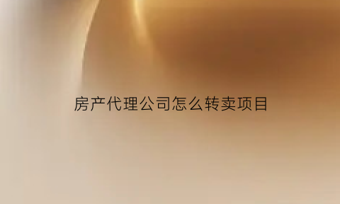 房产代理公司怎么转卖项目(房产代理销售公司怎么做)