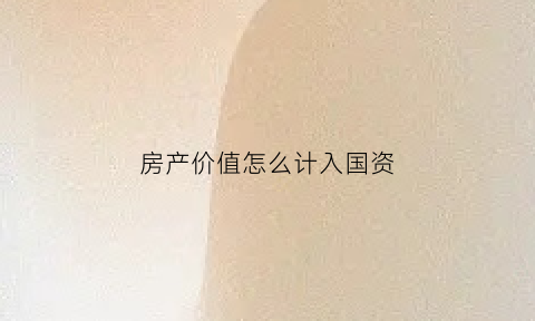 房产价值怎么计入国资(房产价值归于零)