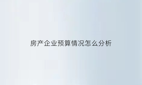 房产企业预算情况怎么分析