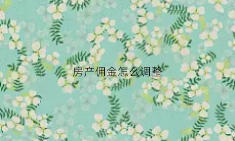 房产佣金怎么调整(房产佣金怎么调整的)