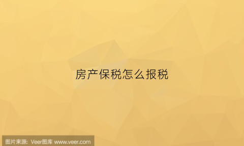 房产保税怎么报税(房产报税是什么意思)