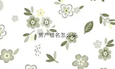 房产借名怎么买(房产借名怎么买房子)