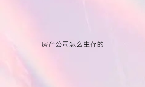 房产公司怎么生存的