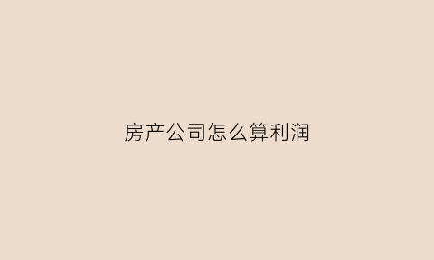 房产公司怎么算利润(房产销售公司利润一般多少)