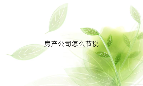 房产公司怎么节税(房产公司怎么交税)