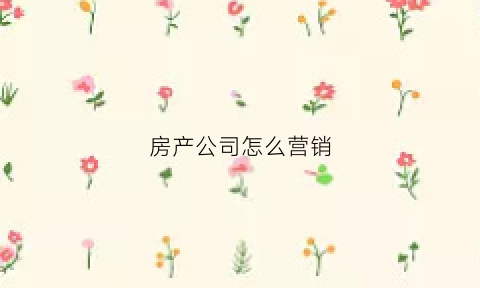 房产公司怎么营销(房产公司营销策划方案)