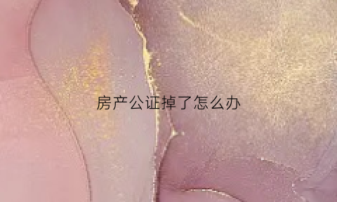 房产公证掉了怎么办(房产公证书可以作废吗)