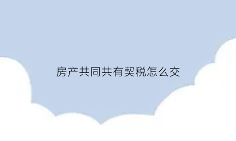 房产共同共有契税怎么交