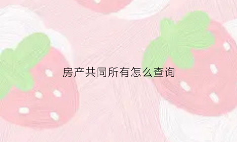 房产共同所有怎么查询(房产共有人怎么查询)