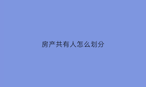 房产共有人怎么划分(房产共有人是什么意思共有人)