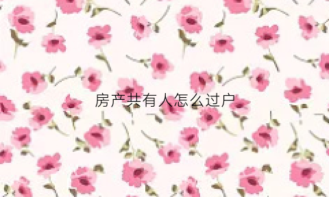 房产共有人怎么过户(房产共有人之间过户要交多少个税)