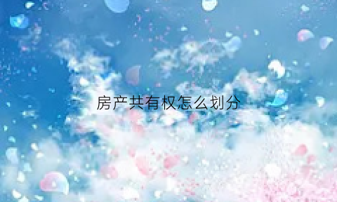 房产共有权怎么划分(房产共有权人有哪些)