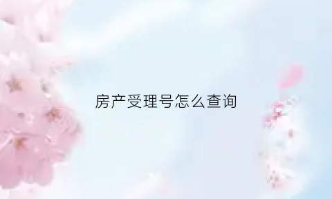 房产受理号怎么查询(房屋交易受理号怎么查询进度)