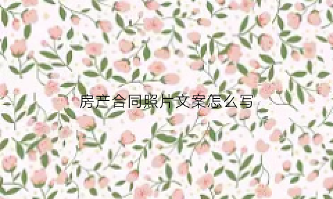 房产合同照片文案怎么写(房产合同照片文案怎么写好)