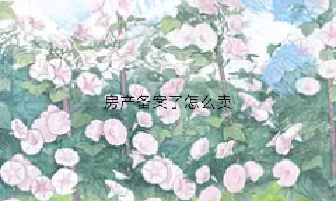房产备案了怎么卖(房产备案了怎么卖房)