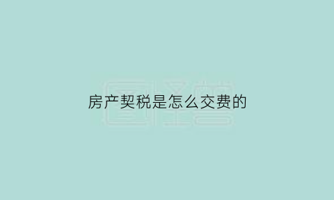 房产契税是怎么交费的