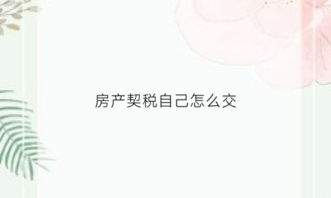 房产契税自己怎么交(房产契税怎么交法)