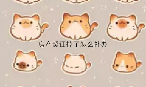 房产契证掉了怎么补办(房契遗失怎样办理)