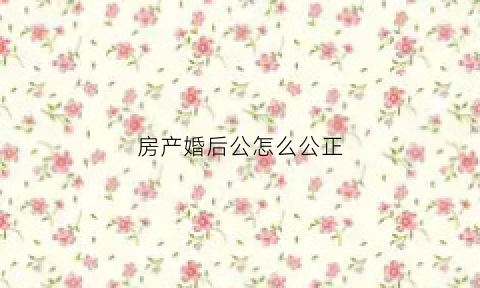 房产婚后公怎么公正(婚后房屋公证处公证流程)