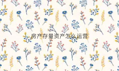 房产存量资产怎么运营(房产存量资产怎么运营的)