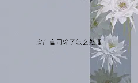 房产官司输了怎么处理(房产官司输了拒不执行会怎么样)