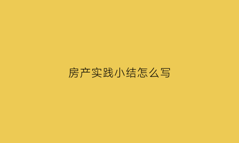 房产实践小结怎么写(房产公司实践报告)