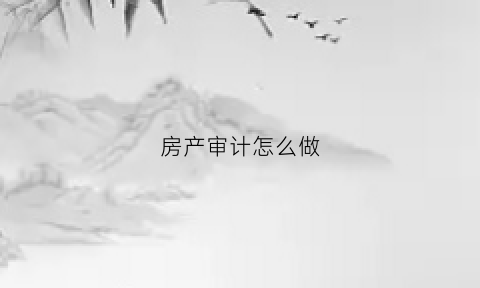 房产审计怎么做(房地产审计流程)