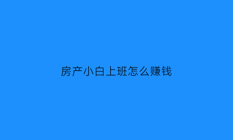 房产小白上班怎么赚钱(房产小白上班怎么赚钱的)
