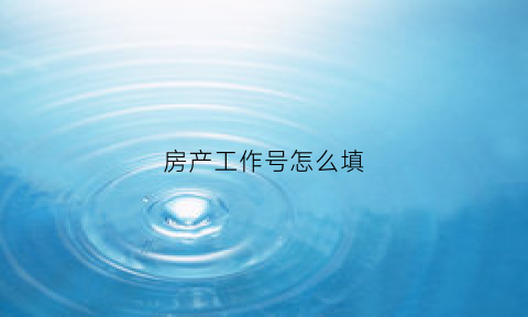房产工作号怎么填(房产证业务号)