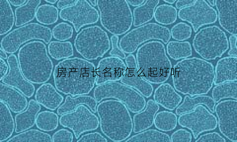 房产店长名称怎么起好听(房产店长名称怎么起好听的)
