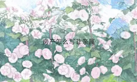 房产怎么写非亲属(房产上可以写非亲人)