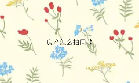 房产怎么拍同款(拍房子怎么拍好看)