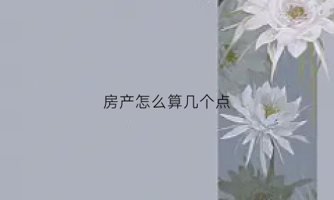 房产怎么算几个点