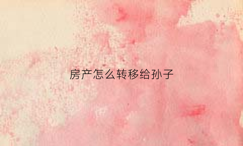 房产怎么转移给孙子(房产怎么转移给子女)