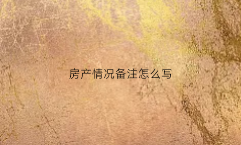 房产情况备注怎么写(房产情况表)