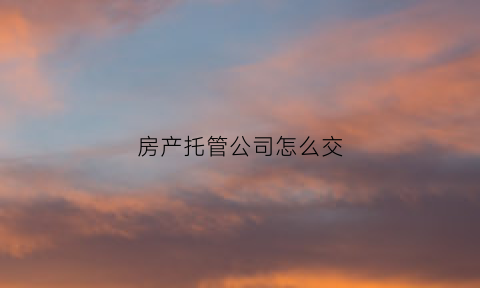 房产托管公司怎么交(房产托管公司怎么交税)