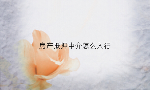 房产抵押中介怎么入行(房产抵押中介有危险吗)