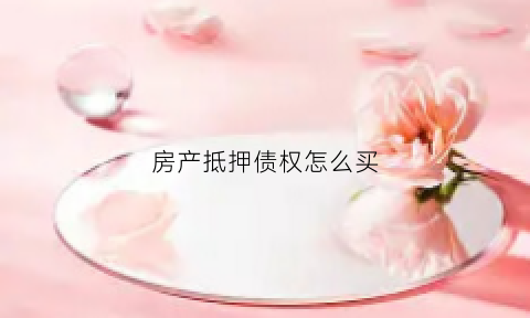 房产抵押债权怎么买(房子债权抵押)