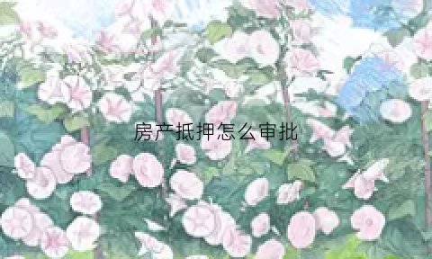 房产抵押怎么审批(房产抵押怎么审批流程)
