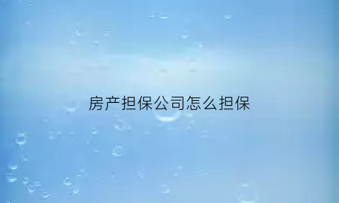 房产担保公司怎么担保(房产担保公司怎么担保贷款)