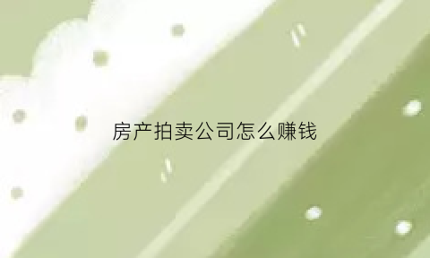 房产拍卖公司怎么赚钱(房屋拍卖公司收费标准)