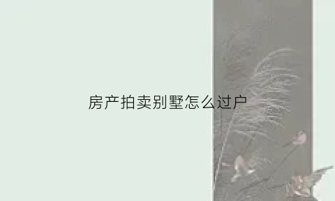 房产拍卖别墅怎么过户(房产拍卖别墅怎么过户给别人)