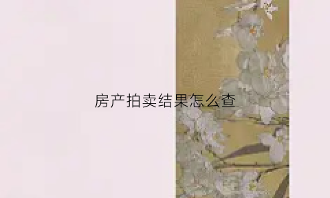 房产拍卖结果怎么查(房产拍卖结果怎么查询)