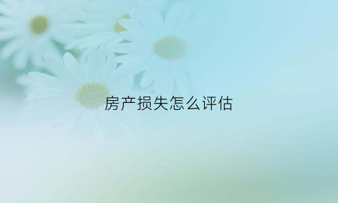 房产损失怎么评估(房产损失怎么评估的)
