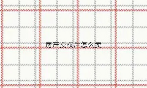 房产授权后怎么卖(授权卖房子需要什么手续)