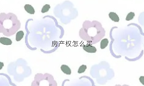 房产权怎么买(房产购买流程)